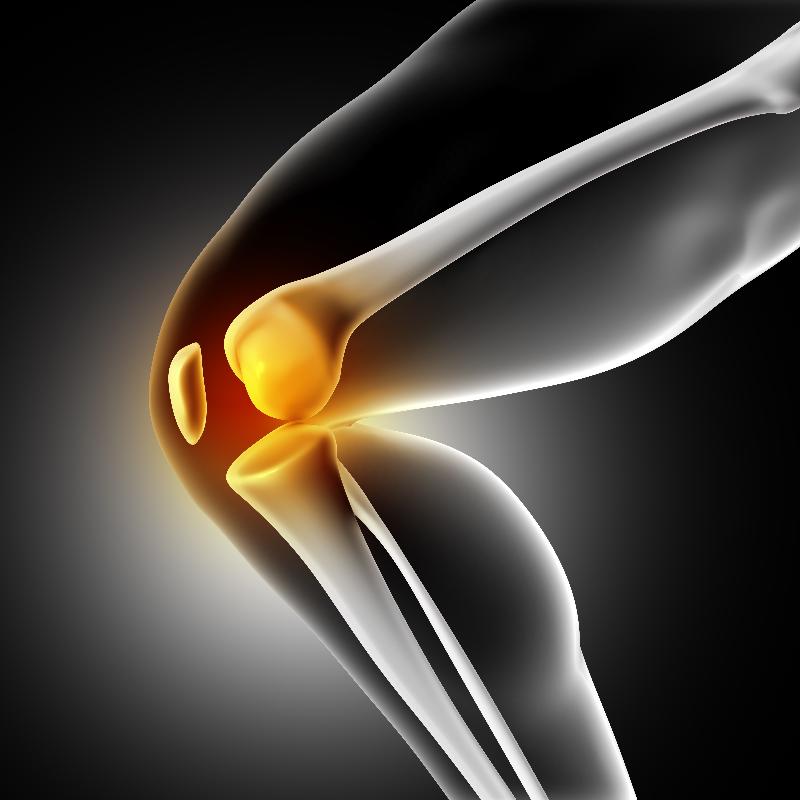 Knee Ligament Injury pain