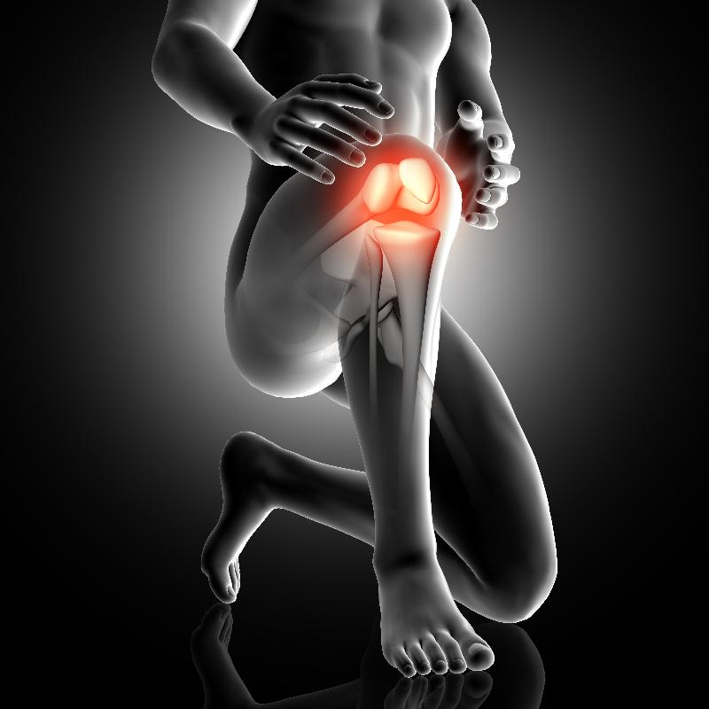 https://www.bphysicaltherapy.com/images/pain/knee.jpg